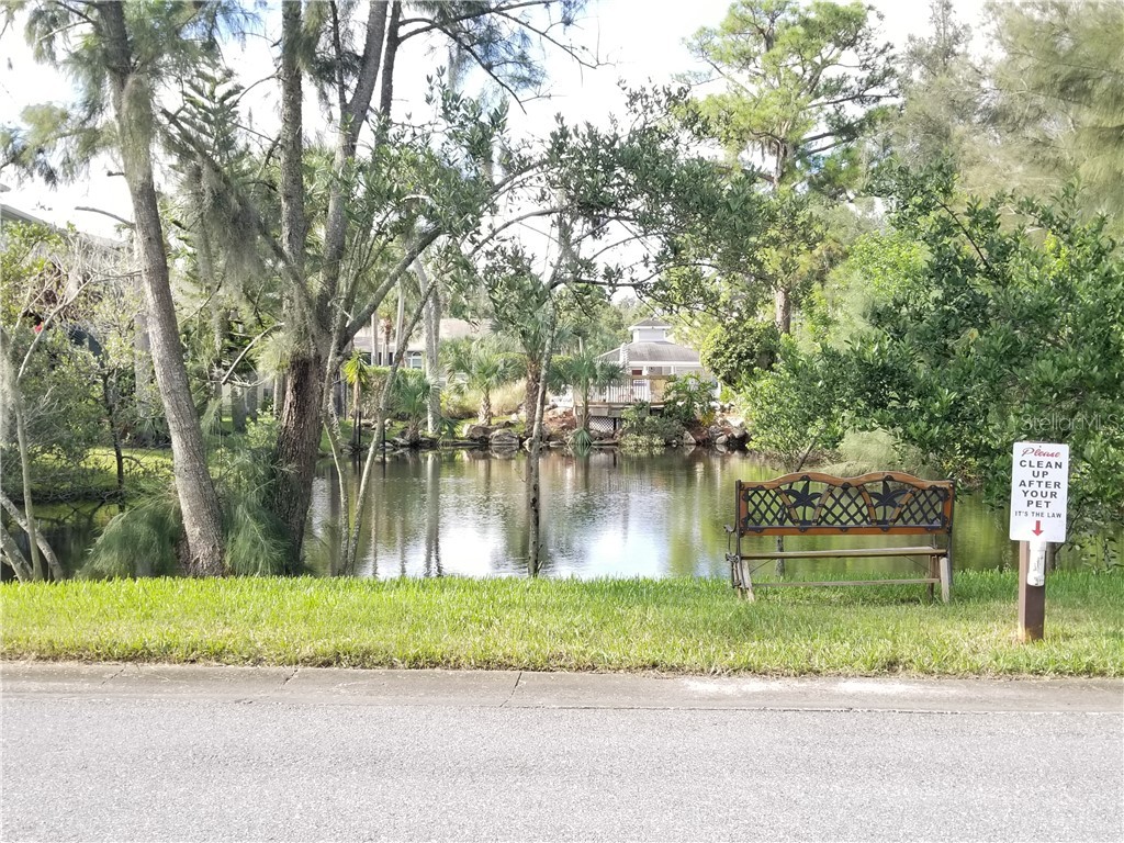 4970 Marina Palms Drive Port Richey FL 34668 TB8472818 image38