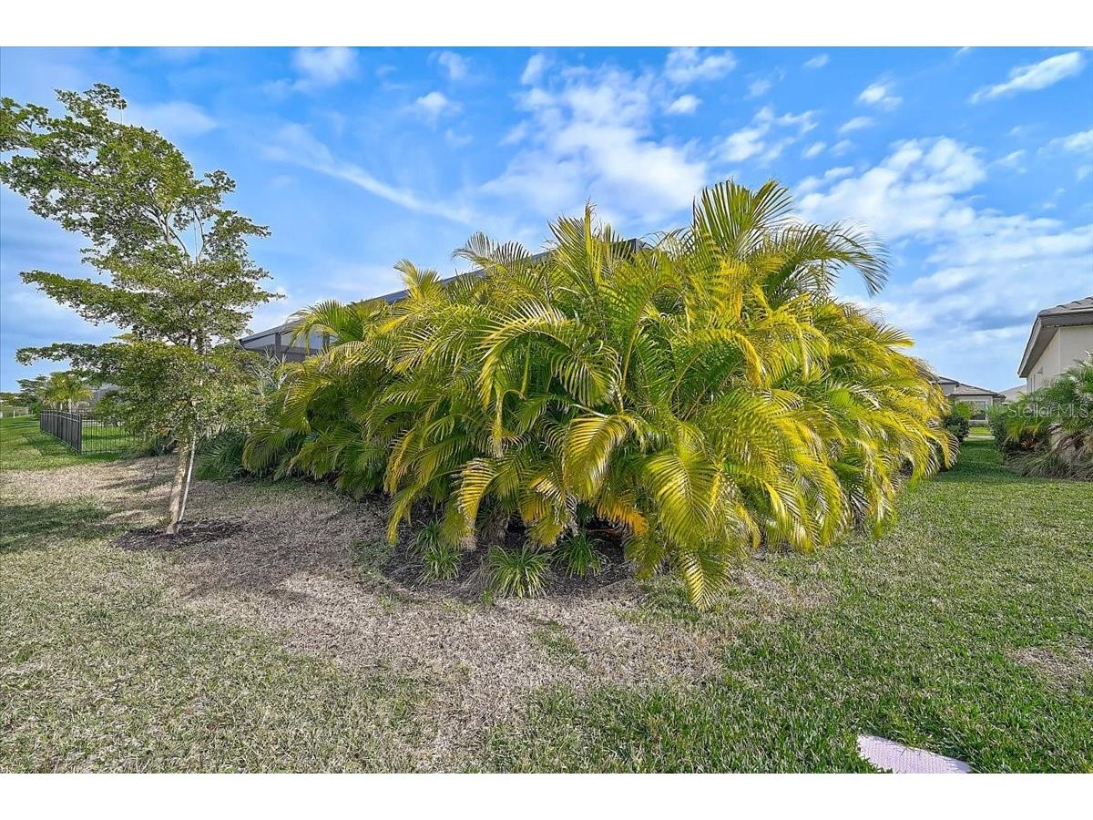 4970 Oyster Pearl Street Bradenton FL 34211 A4672524 image42