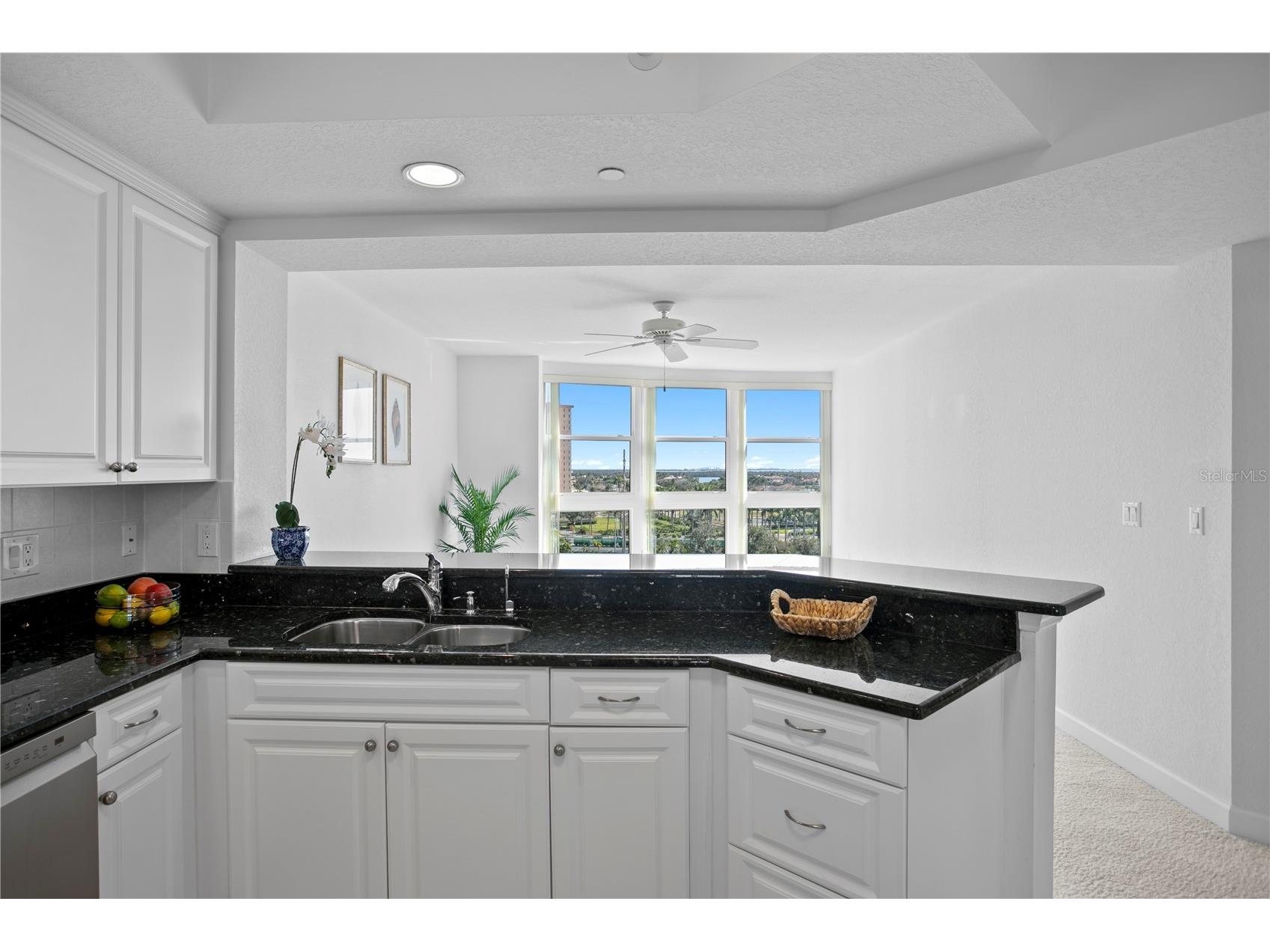 4971 Bacopa Lane S #703 Saint Petersburg FL 33715 - BOCA CIEGA CHANNEL TB8463956 image23