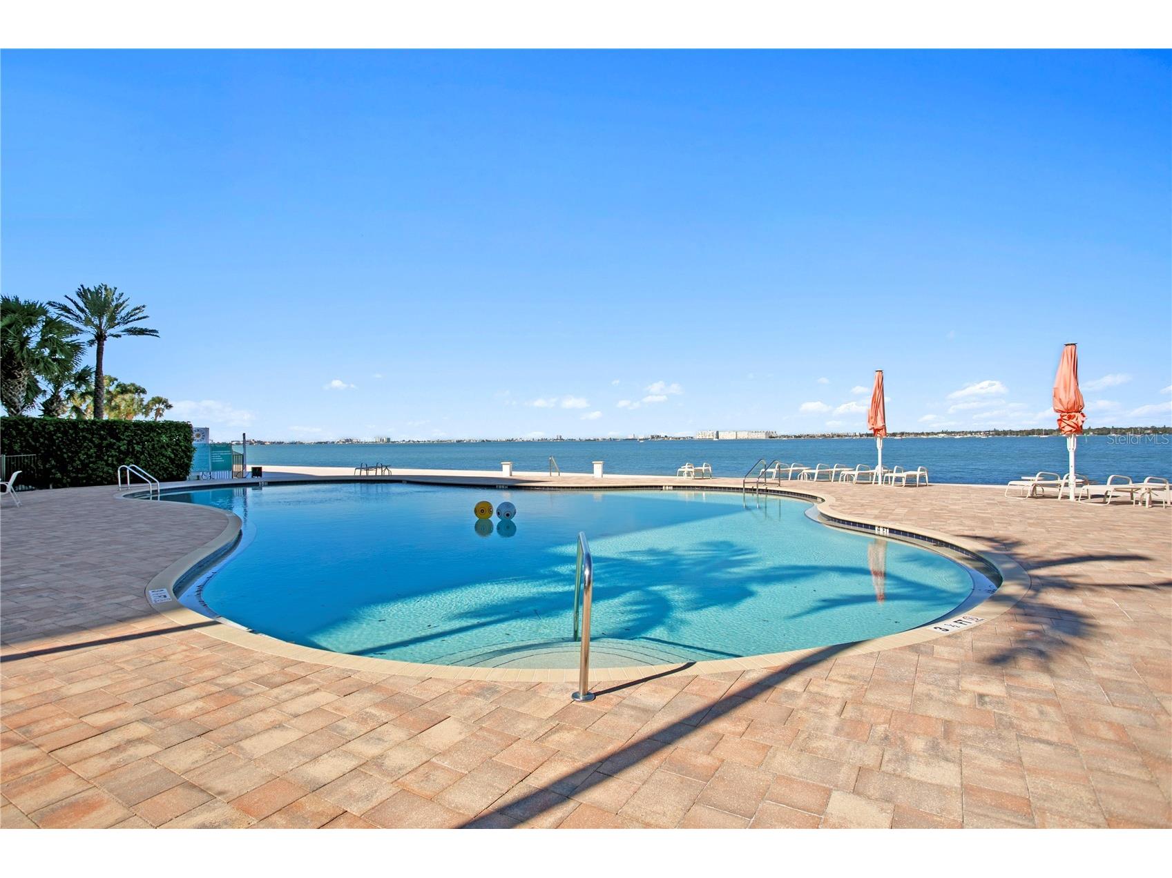 4971 Bacopa Lane S #703 Saint Petersburg FL 33715 - BOCA CIEGA CHANNEL TB8463956 image45