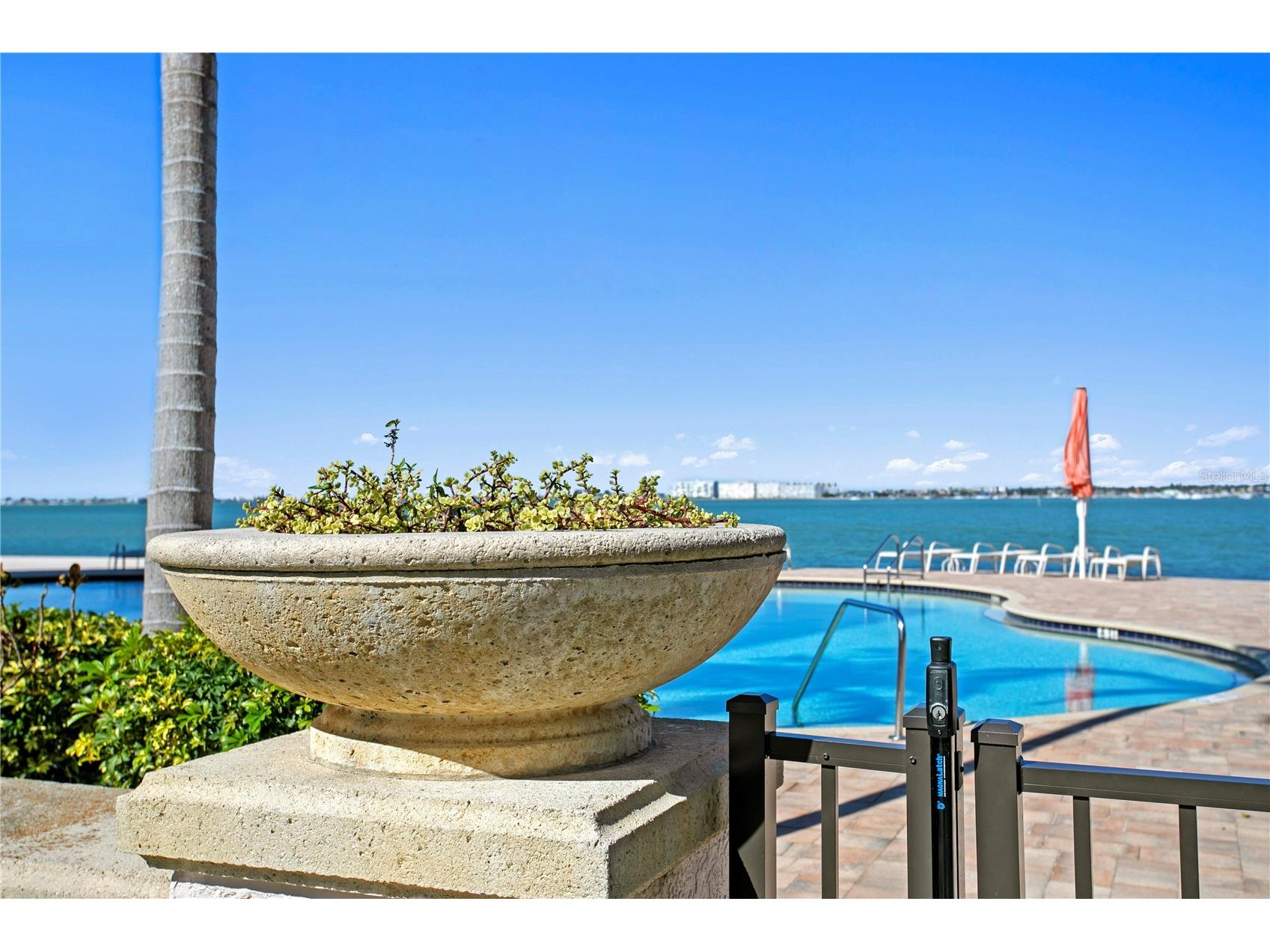 4971 Bacopa Lane S #703 Saint Petersburg FL 33715 - BOCA CIEGA CHANNEL TB8463956 image52