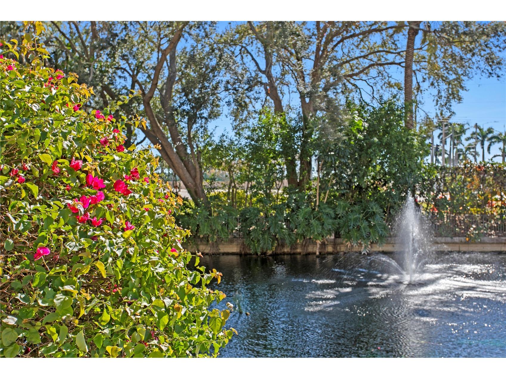 4971 Bacopa Lane S #703 Saint Petersburg FL 33715 - BOCA CIEGA CHANNEL TB8463956 image60