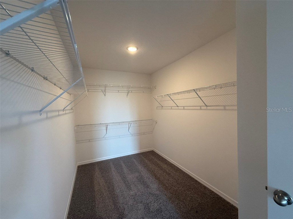 4972 Lyric Drive Mascotte FL 34753 P4936528 image45