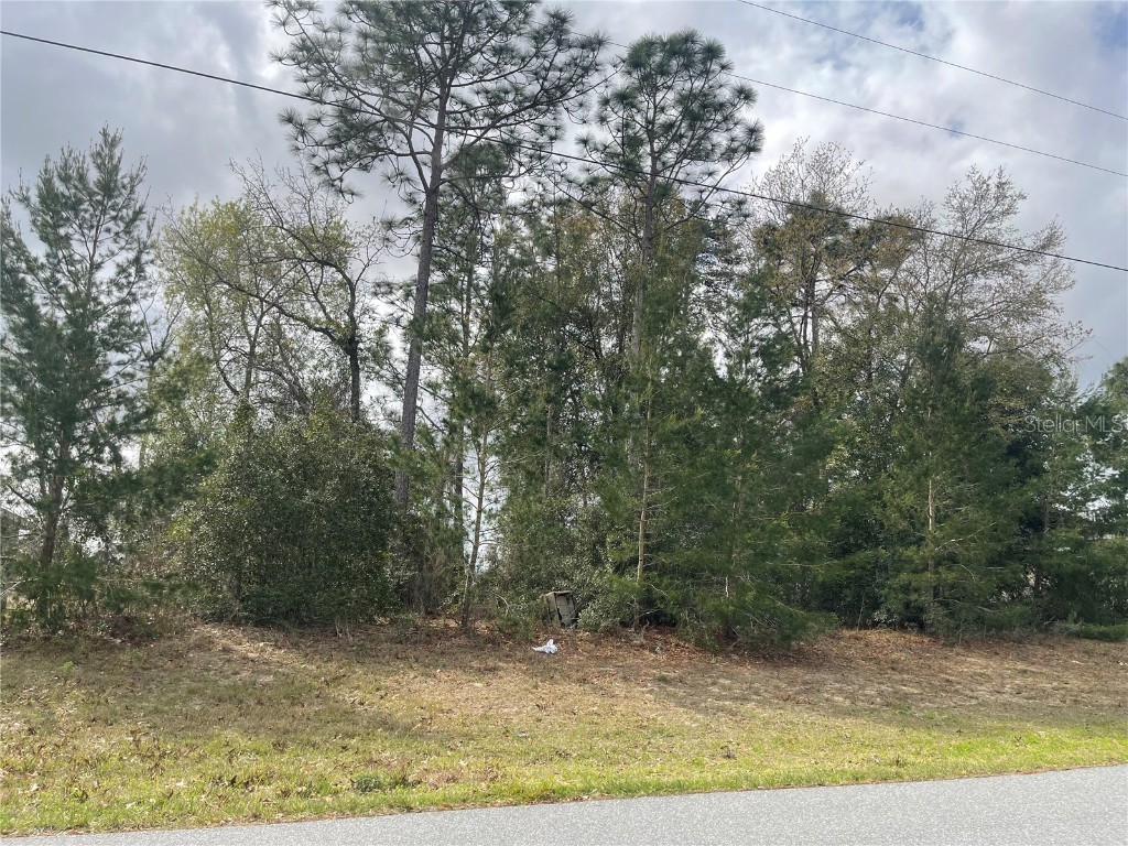 4972 SW 129th Place Ocala FL 34473 GC520141 image1