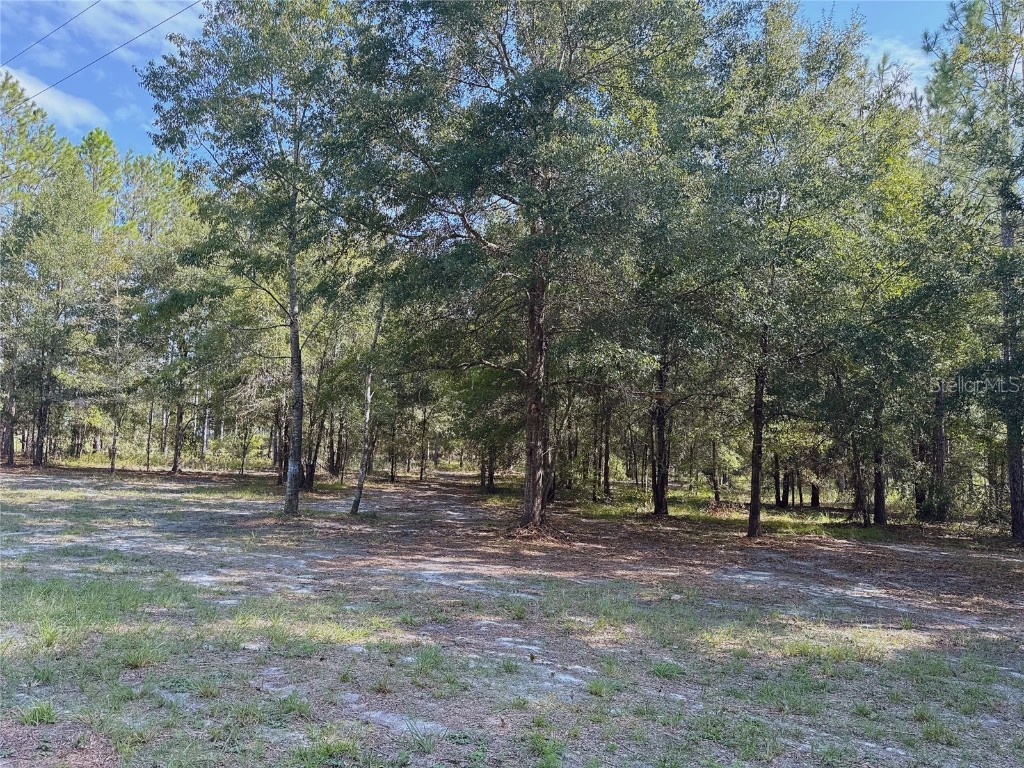 4972 SW Elim Church Fort White FL 32038 S5139257 image10