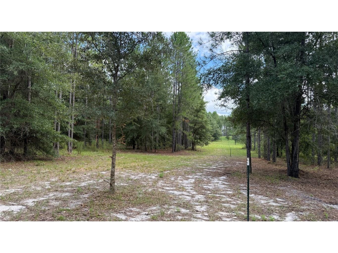 4972 SW Elim Church Fort White FL 32038 S5139257 image12