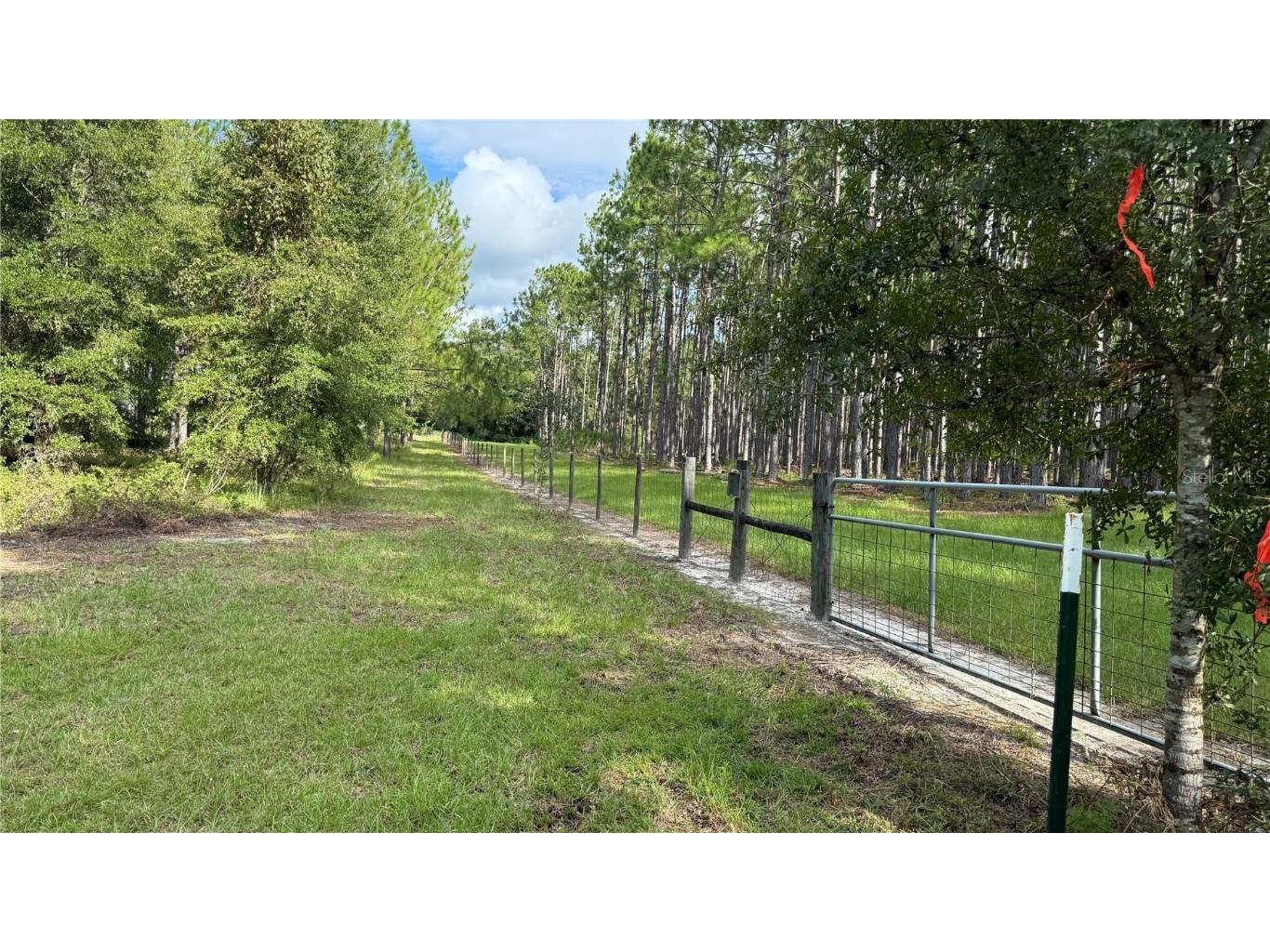 4972 SW Elim Church Fort White FL 32038 S5139257 image13