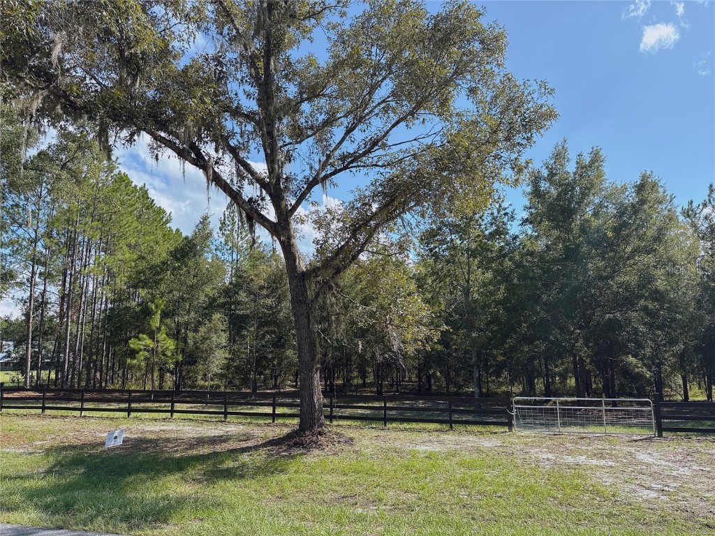 4972 SW Elim Church Fort White FL 32038 S5139257 image2