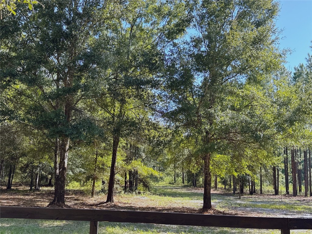 4972 SW Elim Church Fort White FL 32038 S5139257 image7