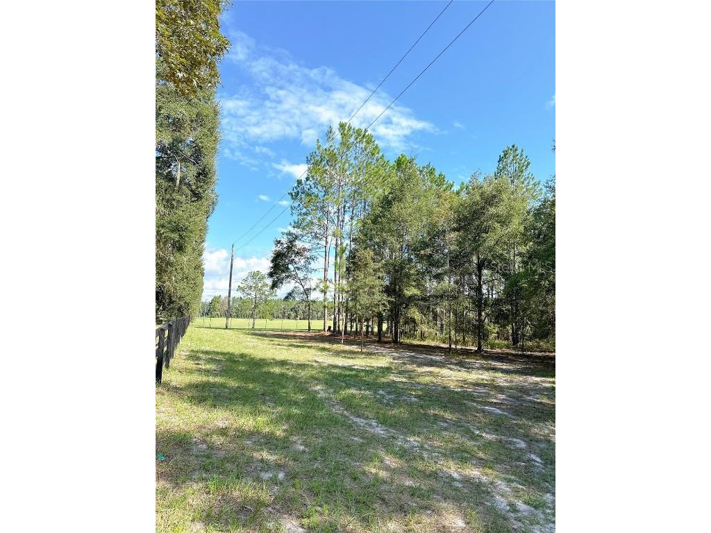 4972 SW Elim Church Fort White FL 32038 S5139257 image9