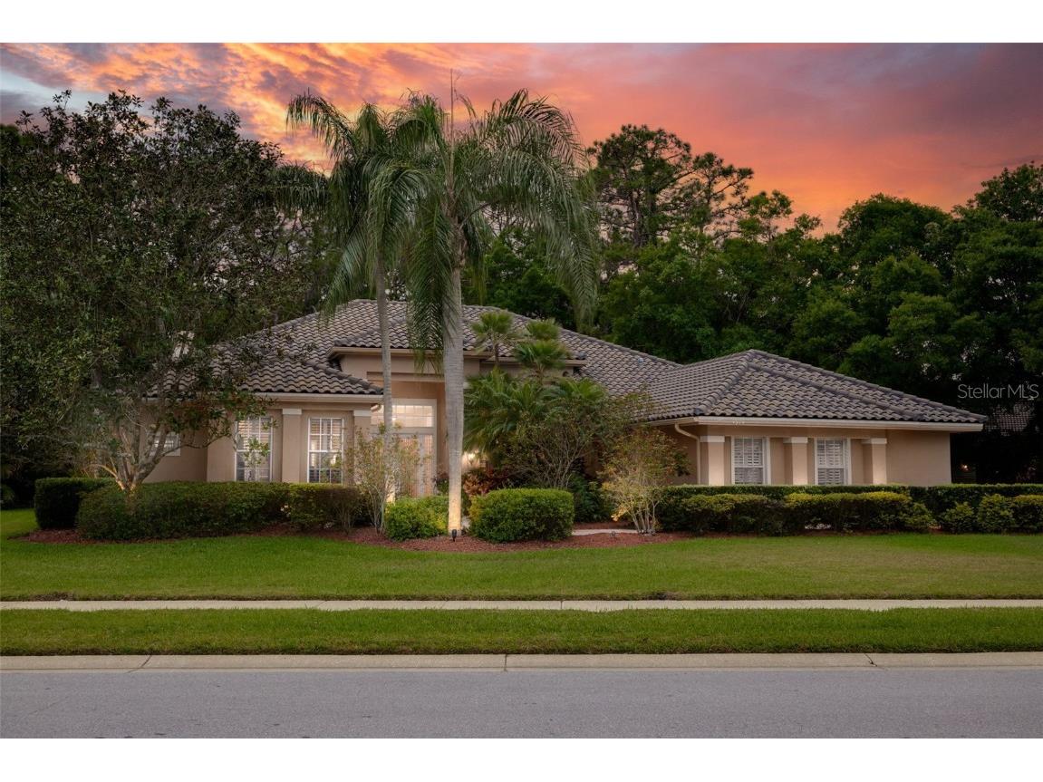 4974 Turtle Creek Trail Oldsmar FL 34677 U8238354 image1