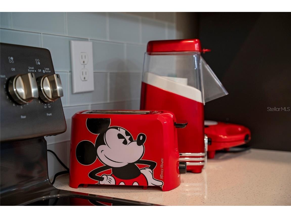 4974 Windermere Avenue Kissimmee FL 34746 O6322104 image6