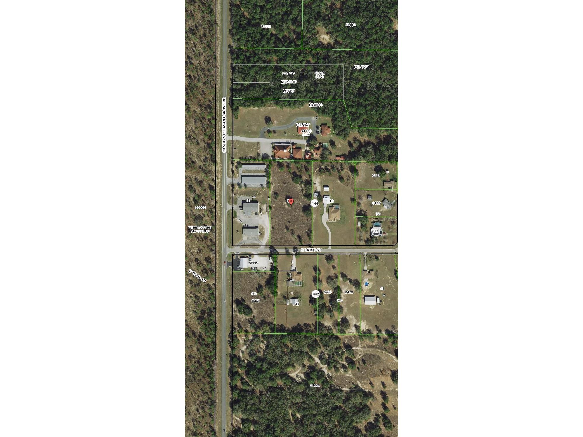 4975 E Triss Street Inverness FL 34452 TB8498094 image3