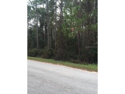 4975 Willow Lane Bunnell FL 32110 FC288592 image1