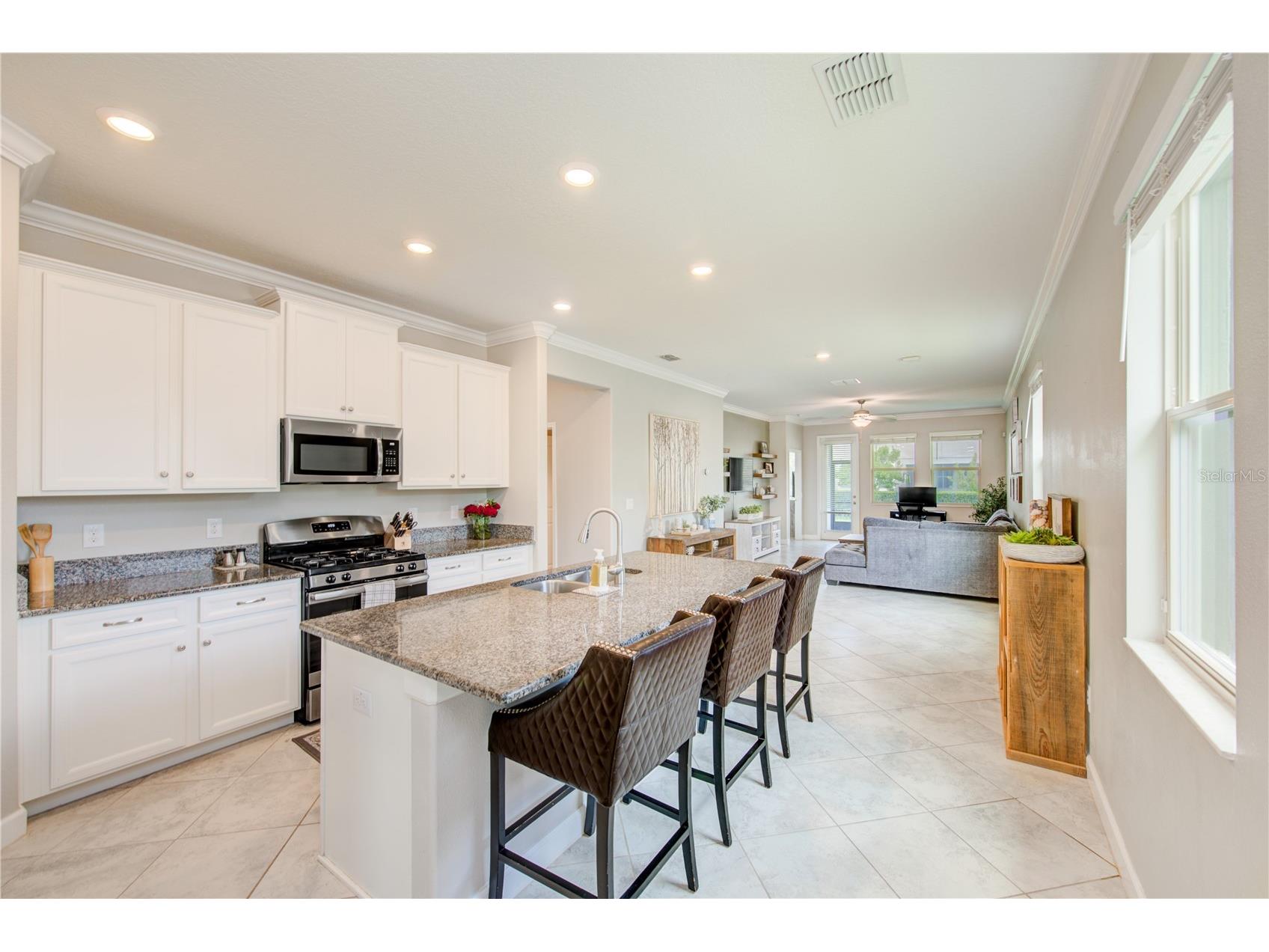 4976 Ballantrae Boulevard Land O Lakes FL 34638 TB8525485 image4