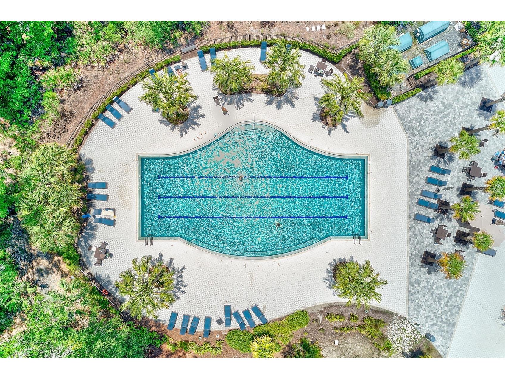 4976 Ballantrae Boulevard Land O Lakes FL 34638 TB8525485 image50