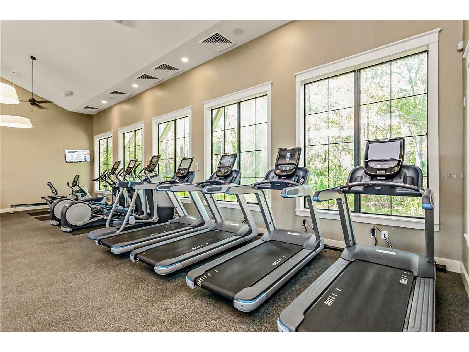 4976 Ballantrae Boulevard Land O Lakes FL 34638 TB8525485 image55