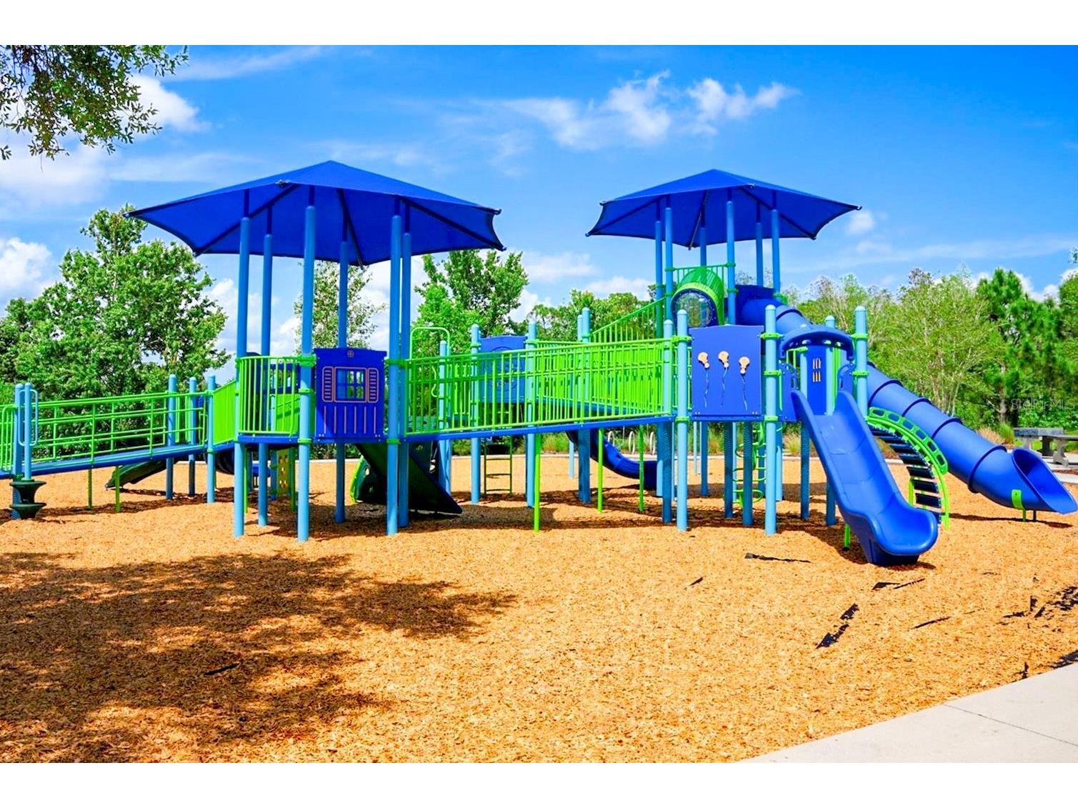 4976 Ballantrae Boulevard Land O Lakes FL 34638 TB8525485 image57