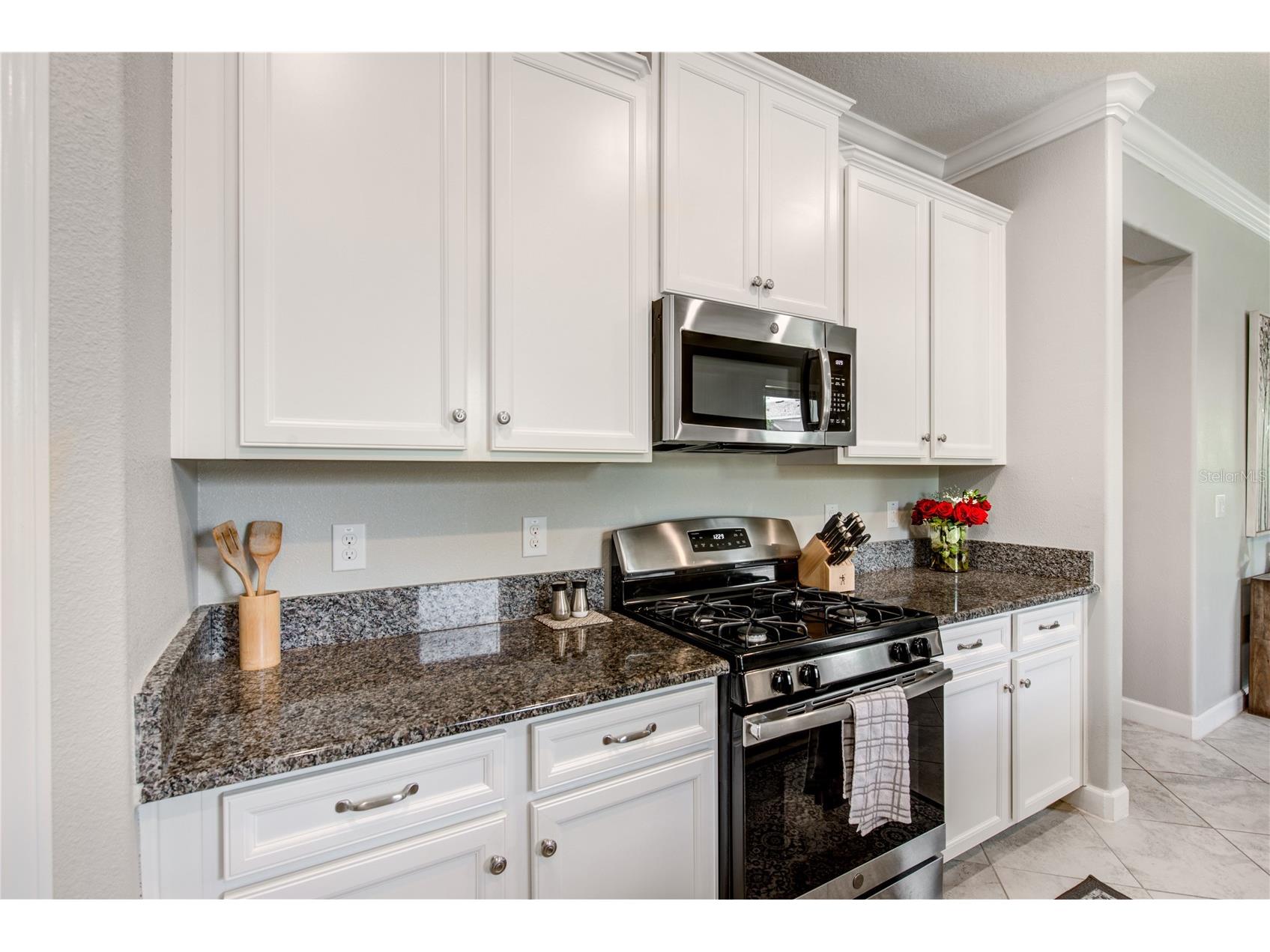 4976 Ballantrae Boulevard Land O Lakes FL 34638 TB8525485 image9