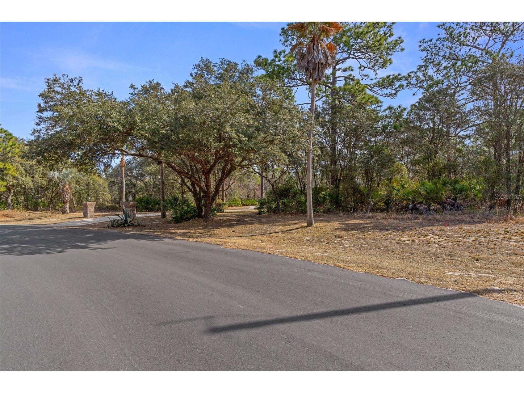4976 W Yearling Drive Beverly Hills FL 34465 OM718758 image1