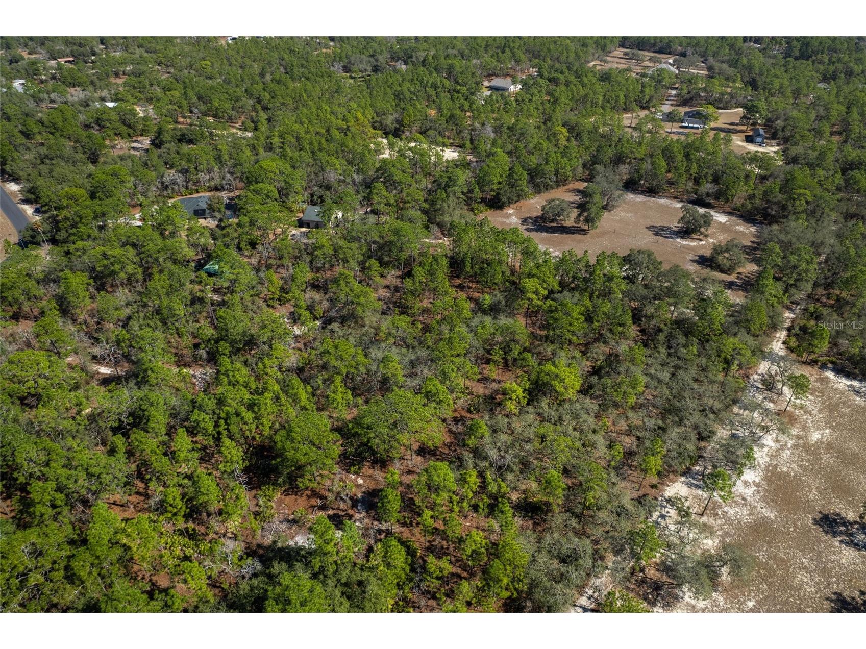 4976 W Yearling Drive Beverly Hills FL 34465 OM718758 image11