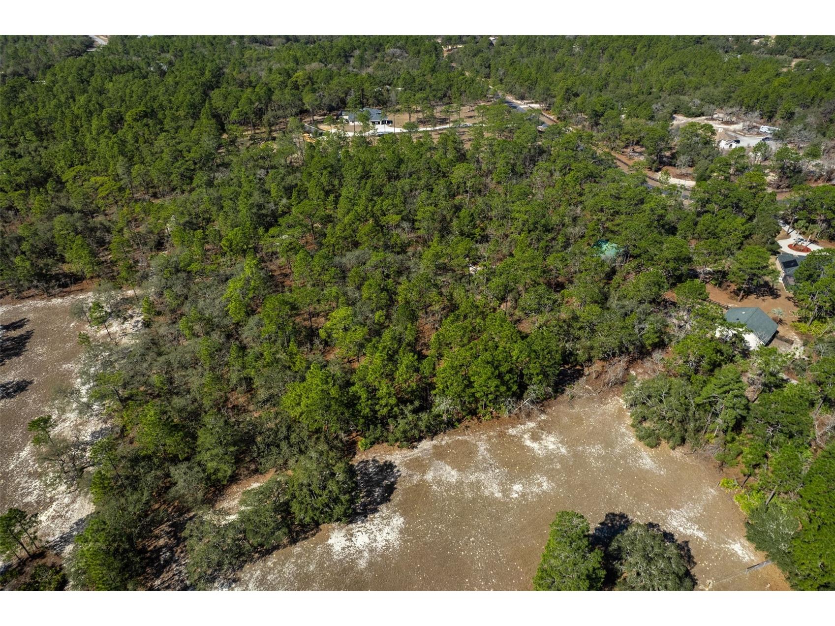 4976 W Yearling Drive Beverly Hills FL 34465 OM718758 image14