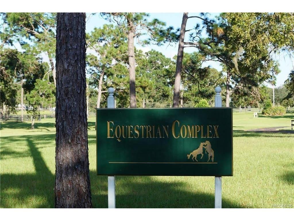 4976 W Yearling Drive Beverly Hills FL 34465 OM718758 image17