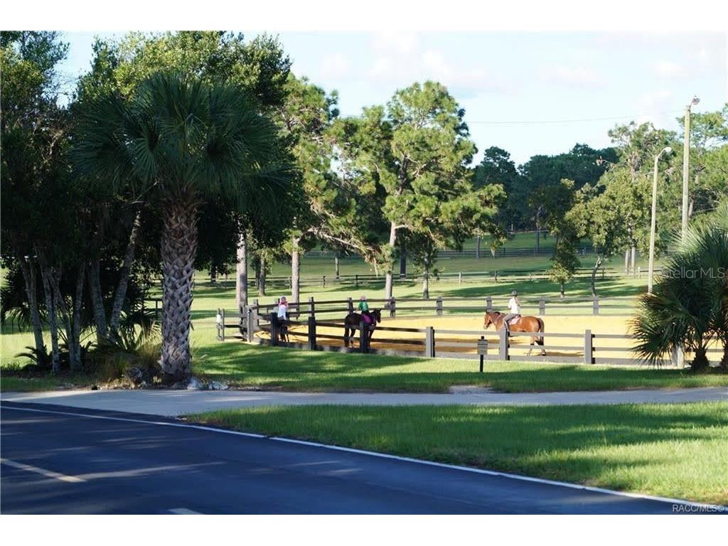 4976 W Yearling Drive Beverly Hills FL 34465 OM718758 image20