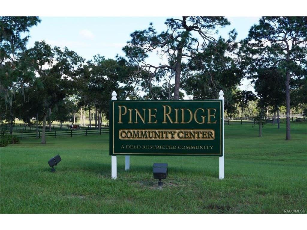 4976 W Yearling Drive Beverly Hills FL 34465 OM718758 image23