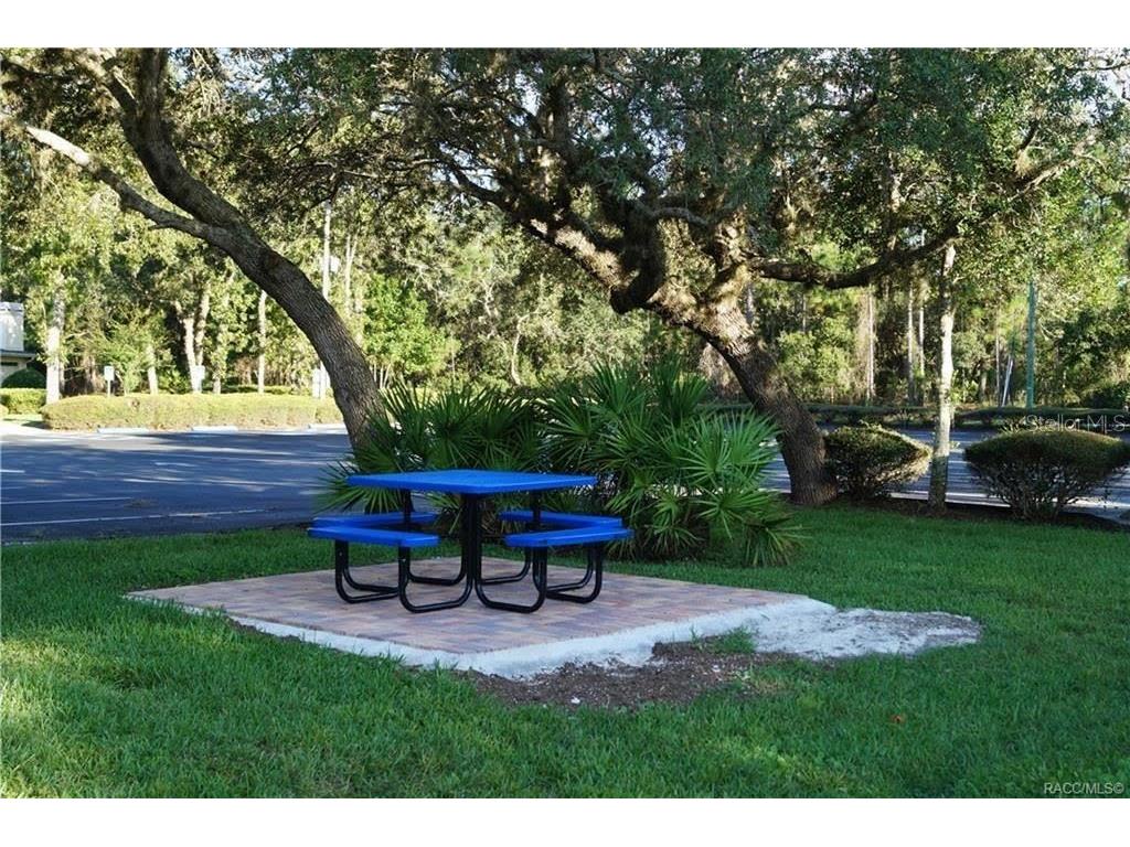 4976 W Yearling Drive Beverly Hills FL 34465 OM718758 image30
