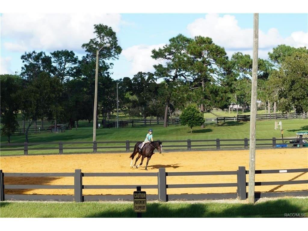 4976 W Yearling Drive Beverly Hills FL 34465 OM718758 image34