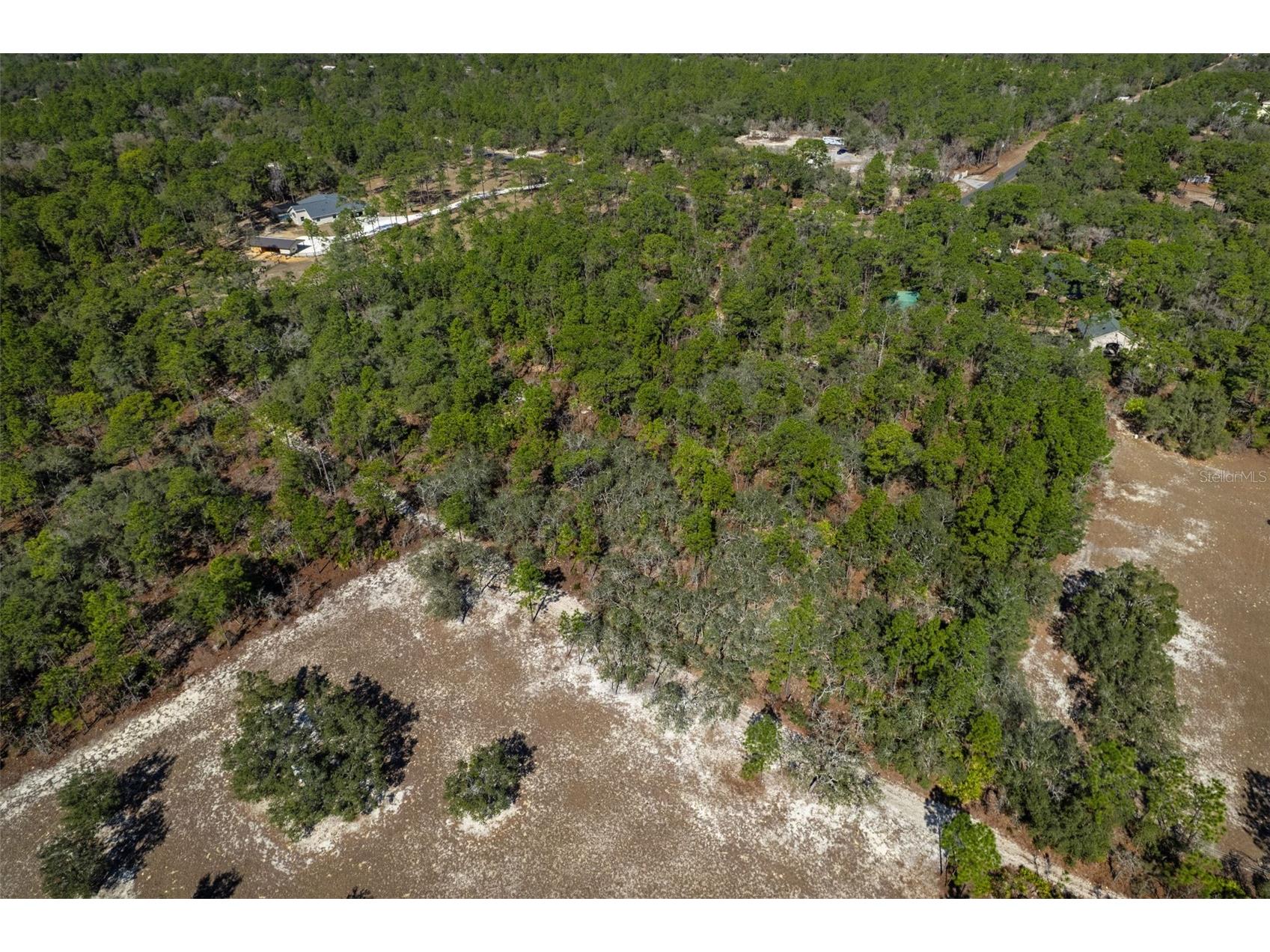 4976 W Yearling Drive Beverly Hills FL 34465 OM718758 image4
