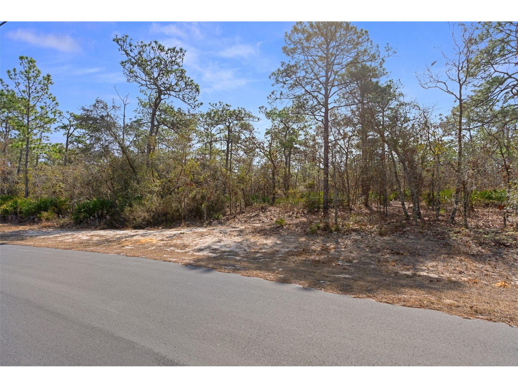 4976 W Yearling Drive Beverly Hills FL 34465 OM718758 image6