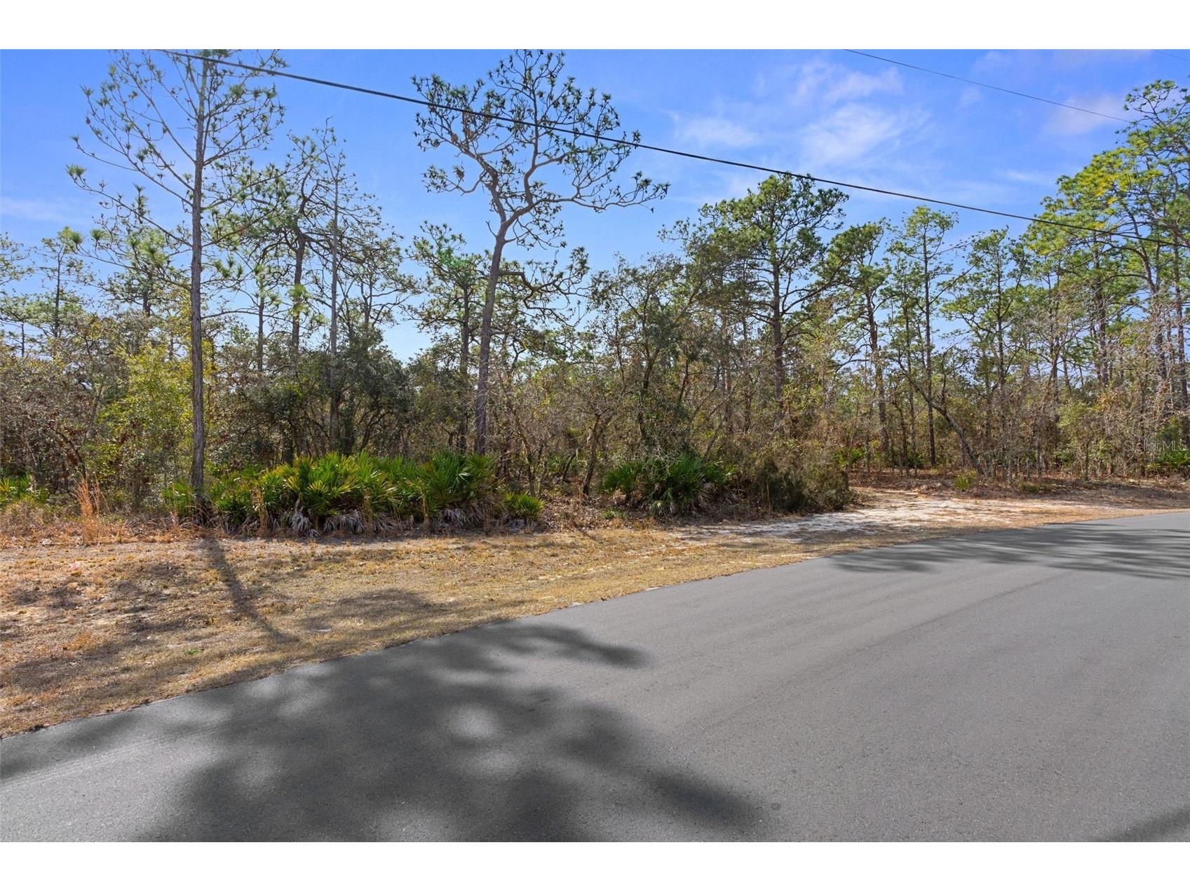 4976 W Yearling Drive Beverly Hills FL 34465 OM718758 image7