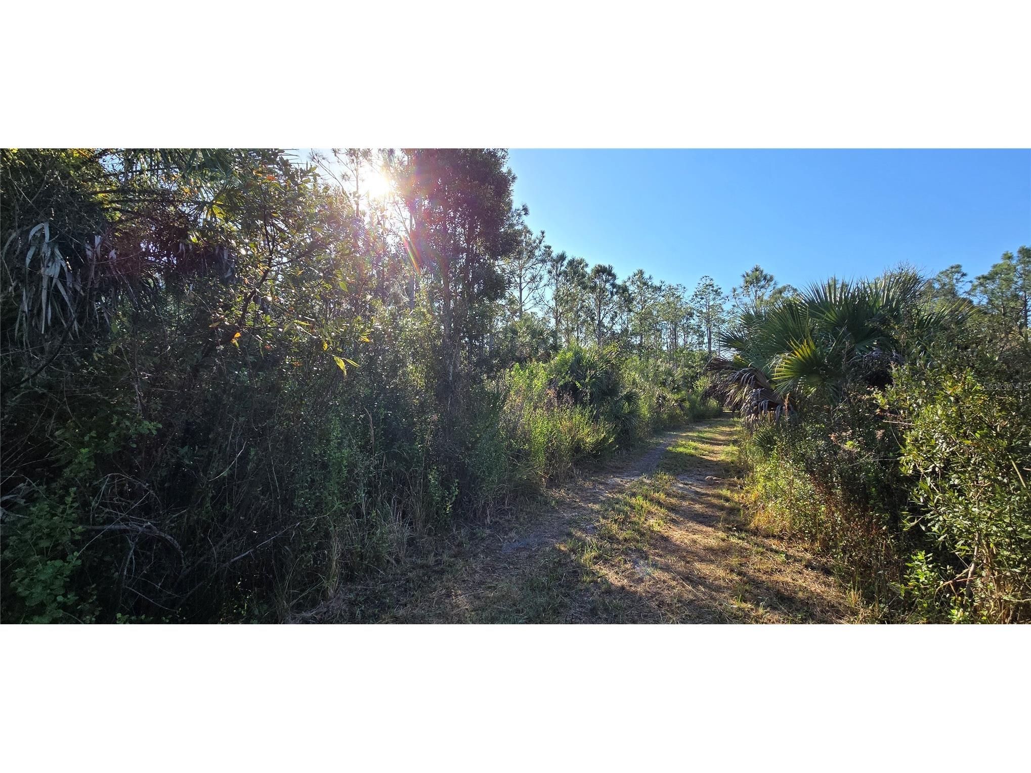 49765 Bermont Road Punta Gorda FL 33982 C7520108 image10