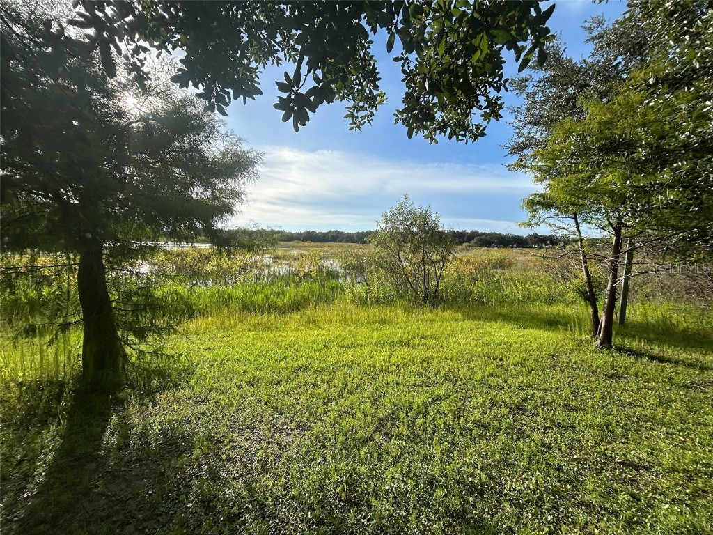 4979 Lakewood Drive Dade City FL 33523 - Lake Geneva TB8419730 image15