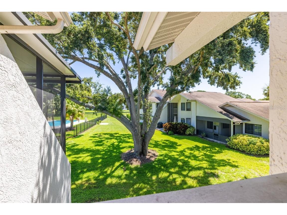 498 Lakeview Drive #45 Palm Harbor FL 34683 TB8400957 image19