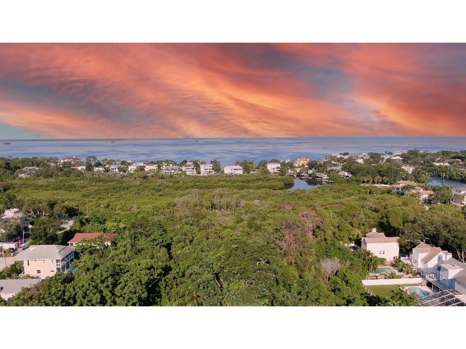 498 Magnolia Avenue Palm Harbor FL 34683 TB8422588 image2