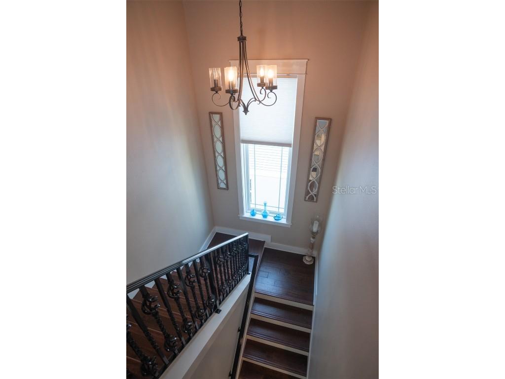 498 Magnolia Avenue Palm Harbor FL 34683 TB8422588 image50