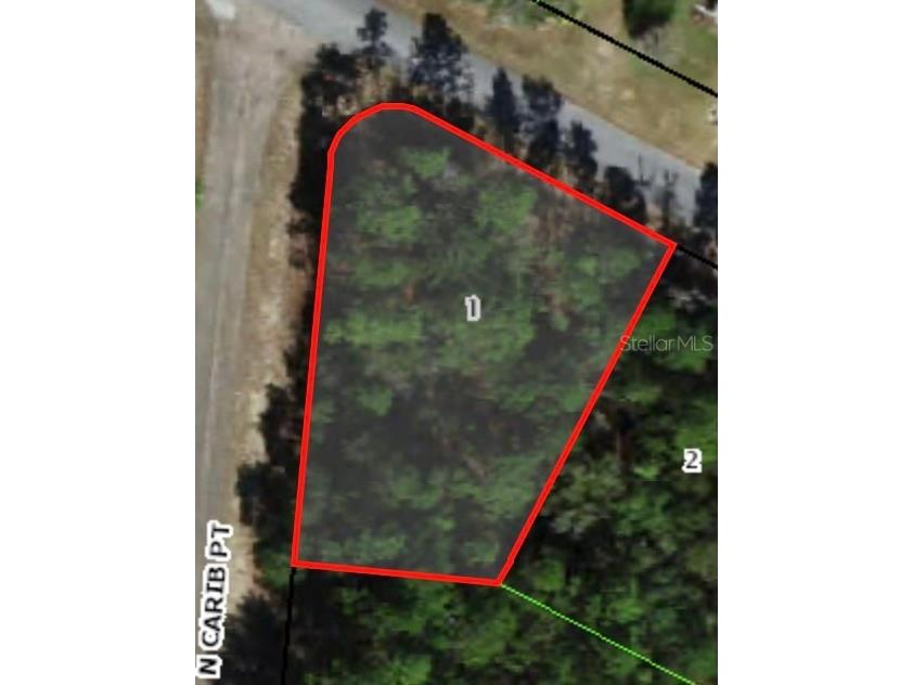 498 W Wason Street Citrus Springs FL 34434 A4611400 image1