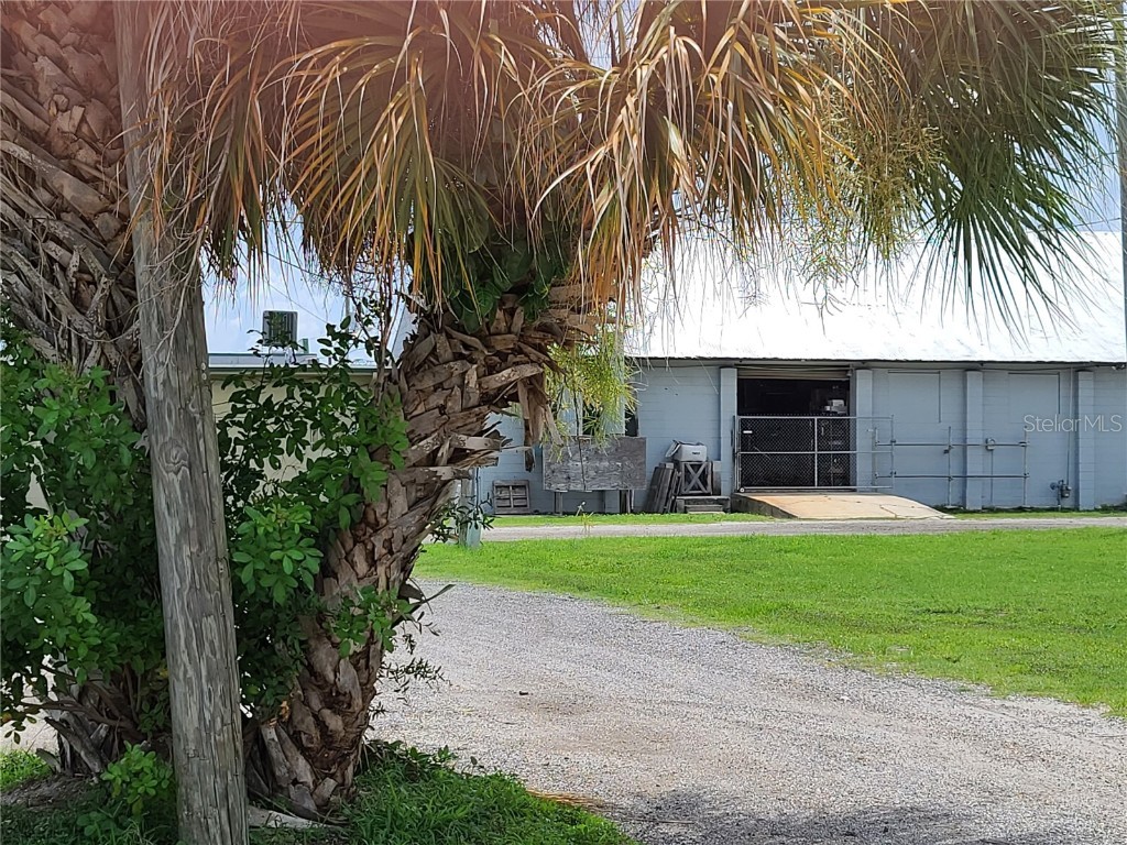 4980 Park Boulevard N Pinellas Park FL 33781 U8255891 image18