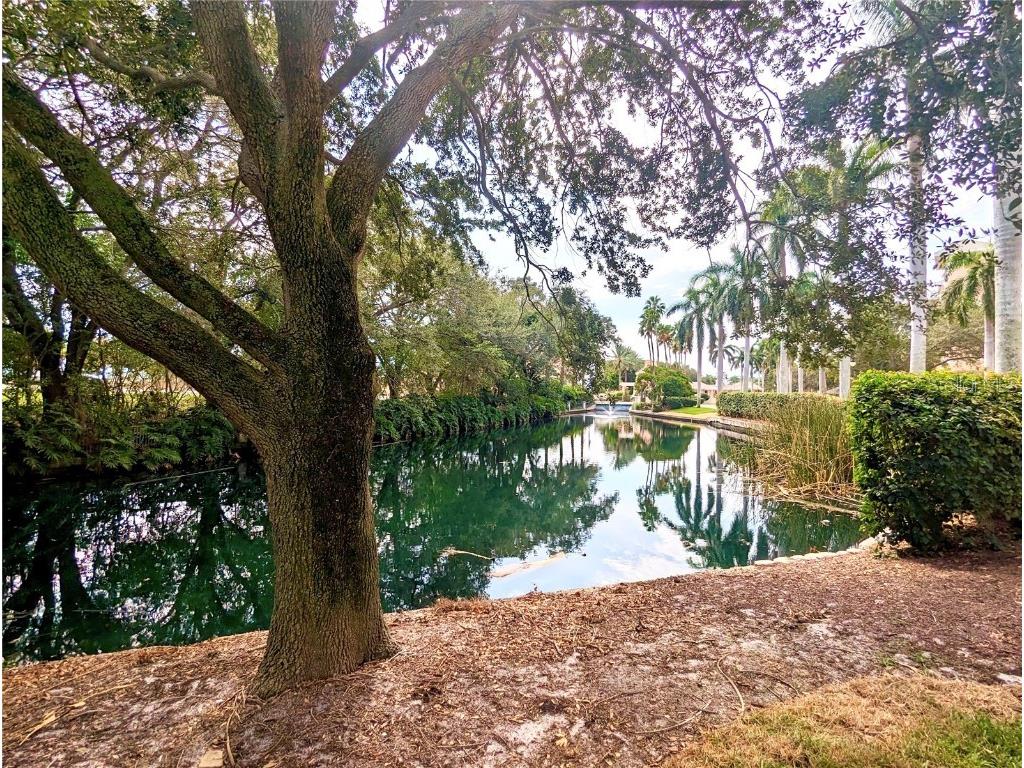 4981 Bacopa Lane S #602 Saint Petersburg FL 33715 - BOCA CIEGA BAY TB8389215 image58