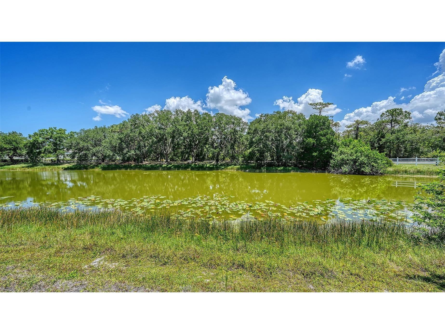 4981 Hubner Circle Sarasota FL 34241 A4694865 image62