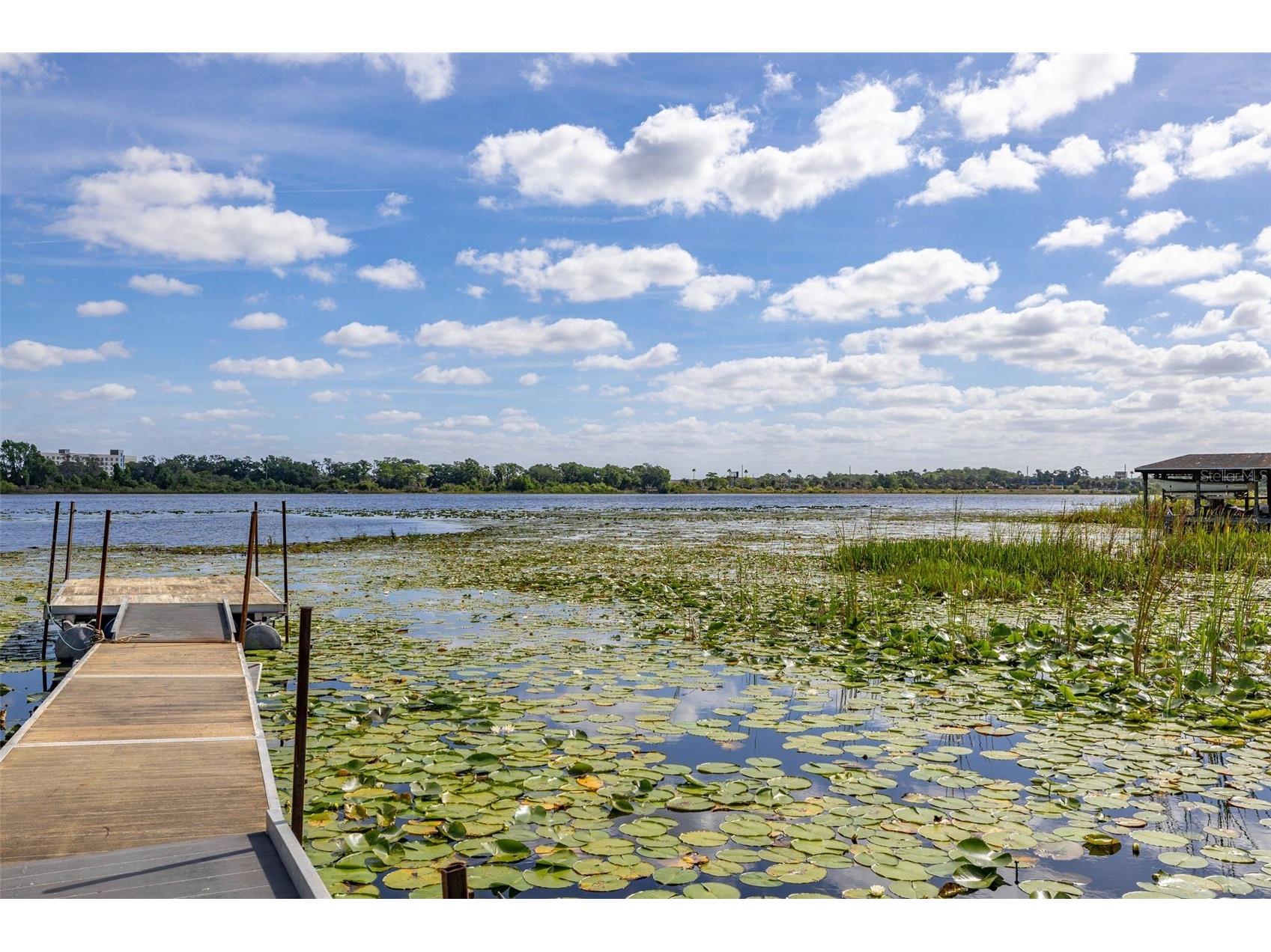 4981 Lake Cecile Drive Kissimmee FL 34746 S5147640 image8