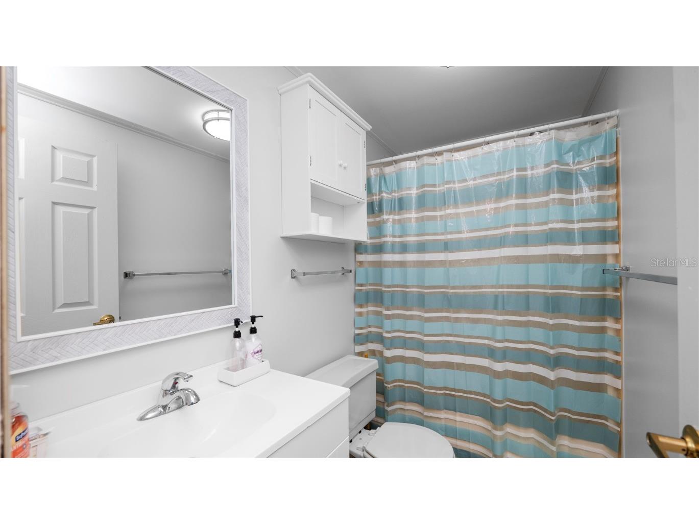 4981 Mount Olive Shores Drive Polk City FL 33868 - MOUNT OLIVE SHORES CANAL L4954631 image27