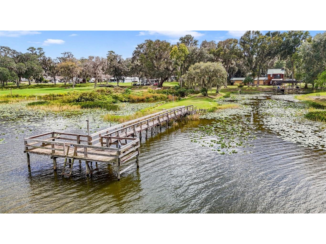 4981 SE 180th Terrace Ocklawaha FL 32179 - LAKE BRYANT O6355967 image2