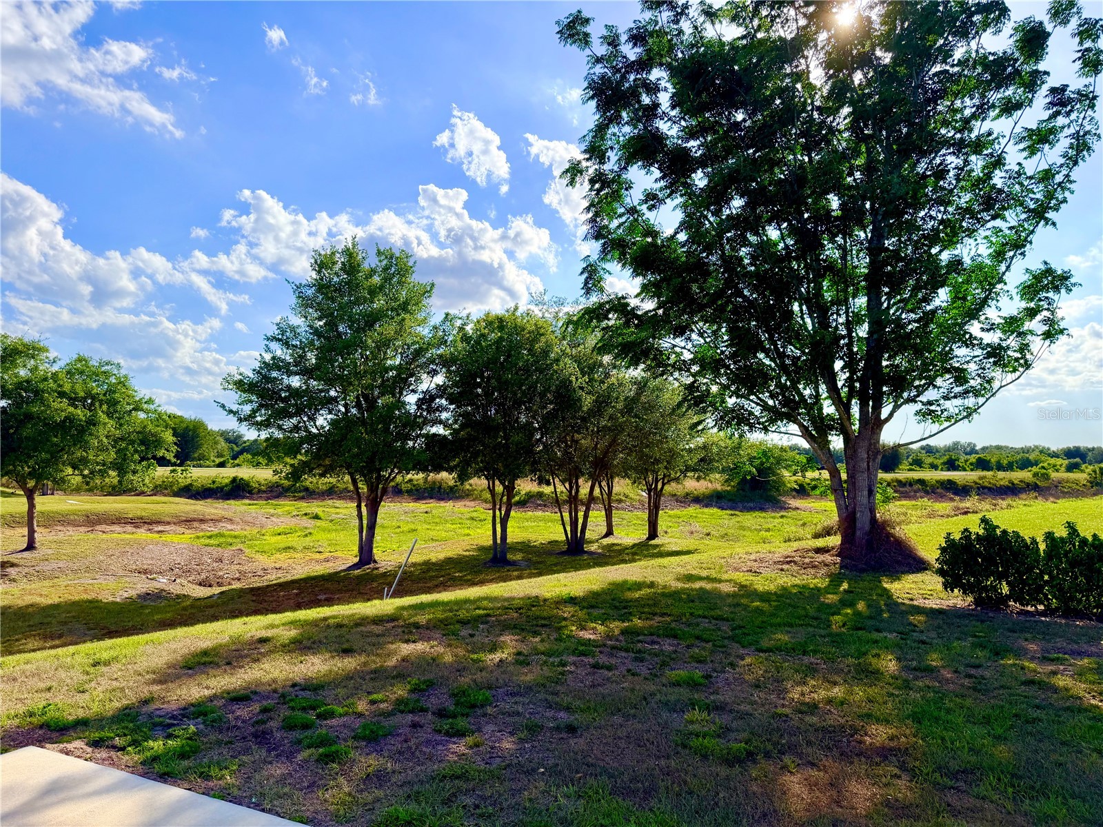 4982 SE 92nd Boulevard Webster FL 33597 G5112030 image4