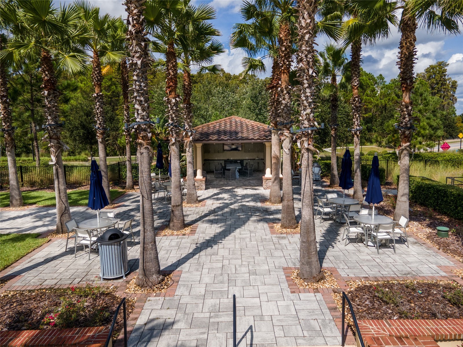 4989 San Martino Drive Wesley Chapel FL 33543 TB8503130 image41