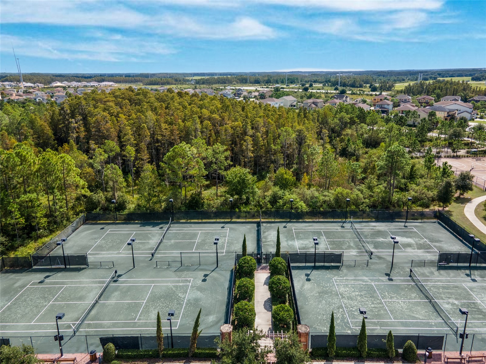 4989 San Martino Drive Wesley Chapel FL 33543 TB8503130 image43