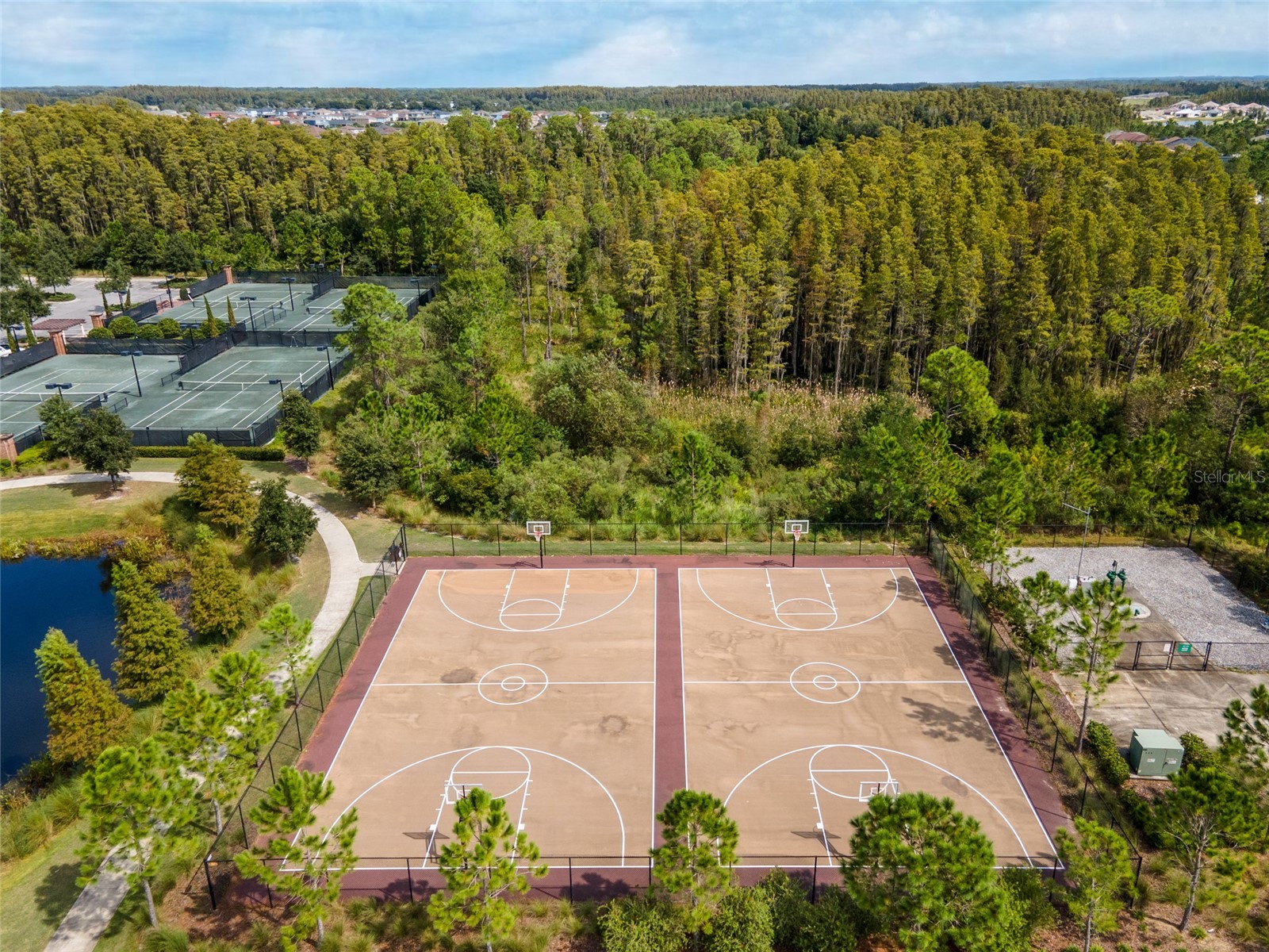 4989 San Martino Drive Wesley Chapel FL 33543 TB8503130 image44